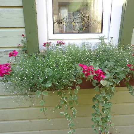 Privatunterkunft Birutes Aleja 20 Palanga