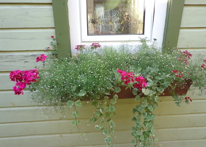 منزل للإقامة Birutes Aleja 20 بالانغا