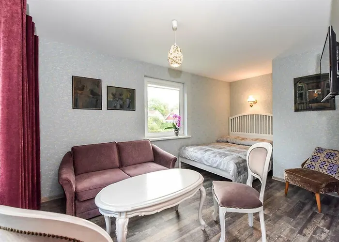 Birutes Aleja 20 منزل للإقامة *