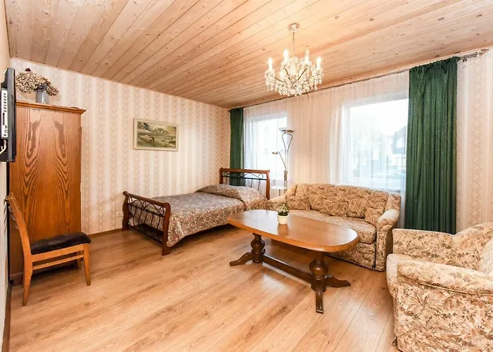 Birutes Aleja 20 منزل للإقامة بالانغا