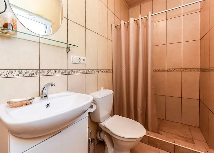 Birutes Aleja 20 منزل للإقامة بالانغا