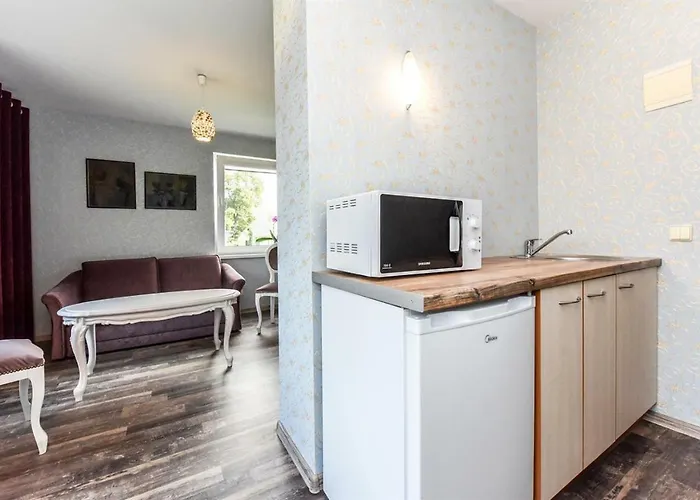 Birutes Aleja 20 منزل للإقامة